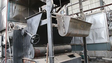DZL Coal-Fired Biomass Boiler Can Au