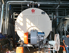 5t/h WNS Series Boiler Installed in Indonesia