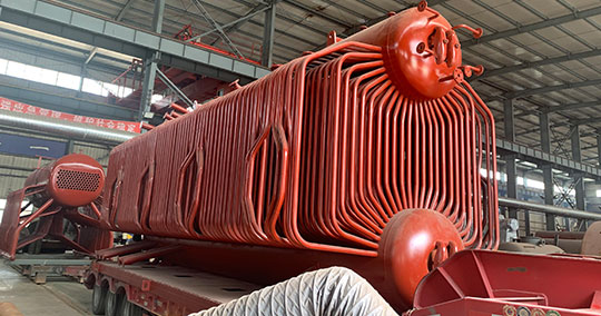25 ton Biomass Fired Steam Boiler Shipped to Sri Lanka