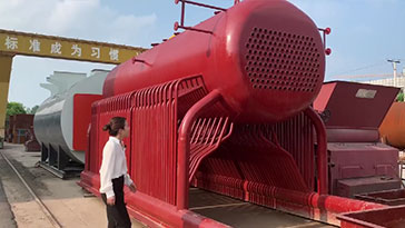 Sitong DZL Series Coal Biomass Steam Boiler