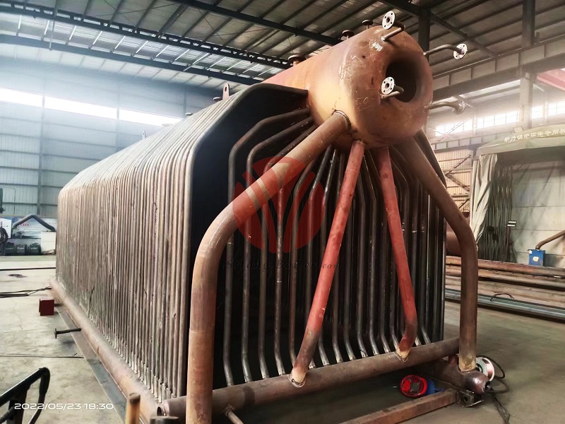 10ton Biomass Fired Steam Boiler for Food and Beverage Factory in Indonesia
