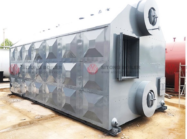 10 ton Coal Fired Steam Boiler Used for production of a Quick Frozen Food Company in Ethiopia