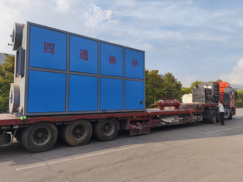 6 ton of Double Drums Coal Fired Boiler Used for Potato Products Production in the Philippines