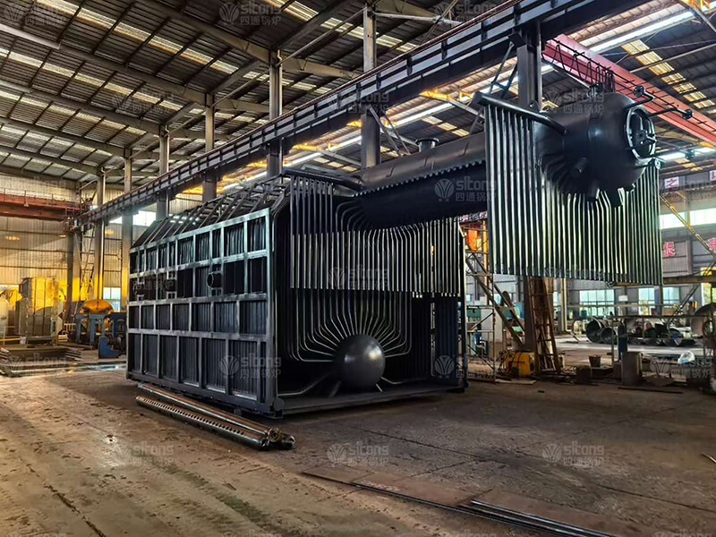25 tons of Double Drum Coal Fired Chain Grate Steam Boiler Used for a Chemical Enterprise in Columbia